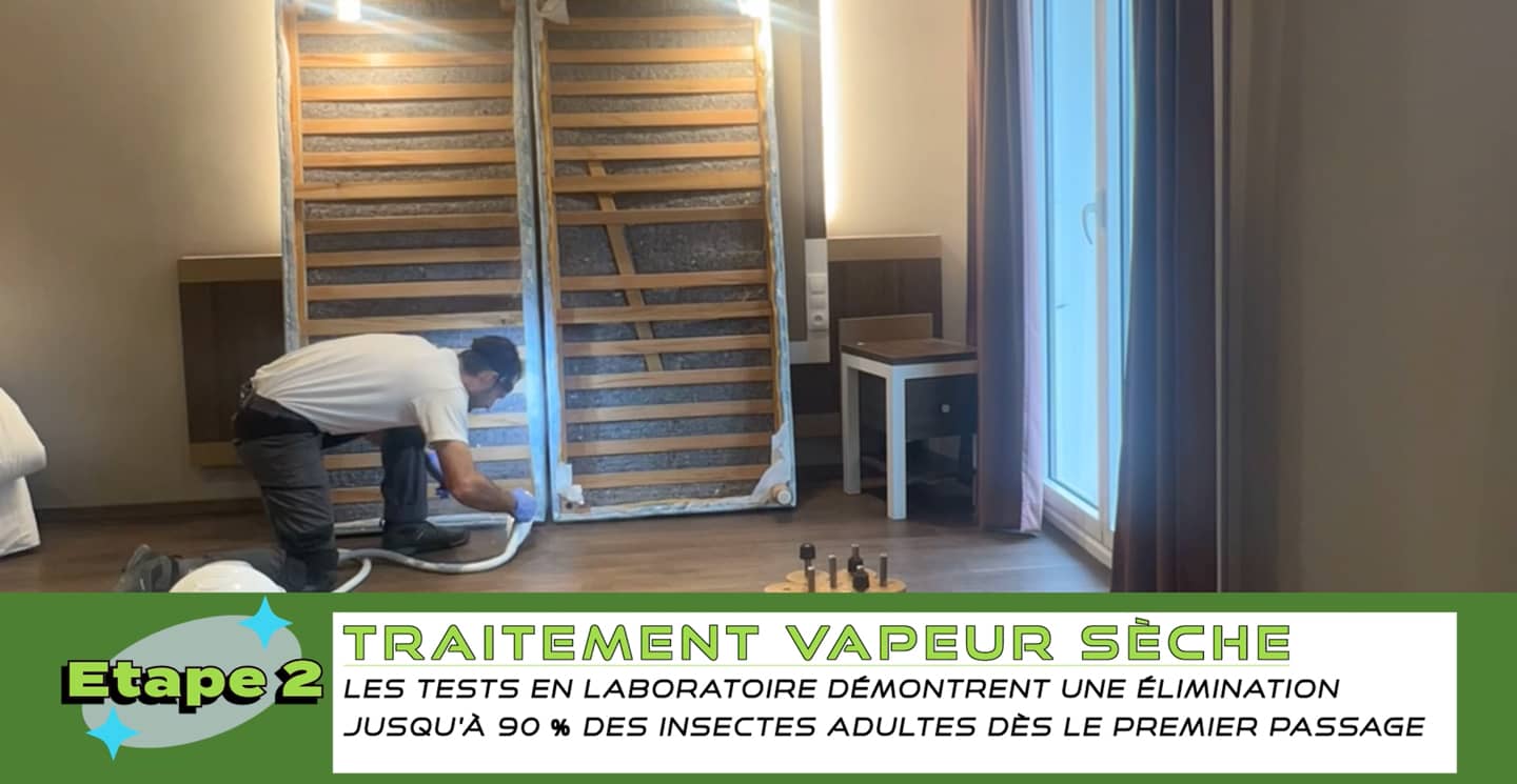 Traitement vapeur sèche